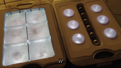 Notice the 6 embryos that will be brought to term by one of the androids